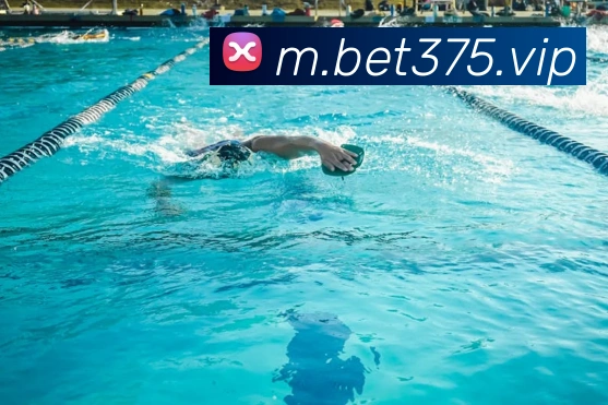 bet365com平台生态图