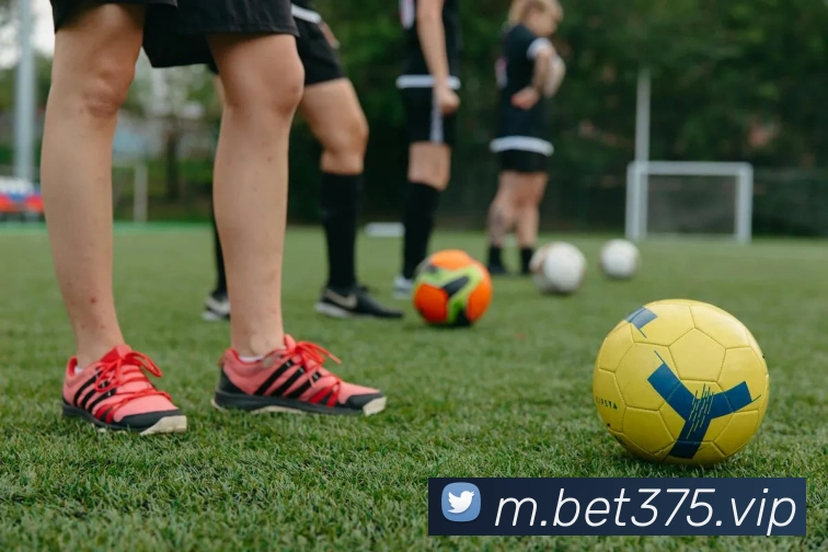bet365comAPP 封面图